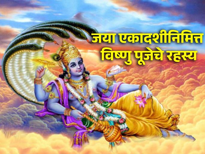 Jaya Ekadashi 2024: Know the secret of Vishnu worship on Jaya Ekadashi; Vishnu grace will definitely happen! | Jaya Ekadashi 2024: जया एकादशीनिमित्त विष्णू पूजेचे गुपित जाणून घ्या; निश्चितच होईल विष्णुकृपा! Jaya Ekadashi 2024: Know the secret of Vishnu worship on Jaya Ekadashi; Vishnu grace will definitely happen! | Jaya Ekadashi 2024: जया एकादशीनिमित्त विष्णू पूजेचे गुपित जाणून घ्या; निश्चितच होईल विष्णुकृपा!