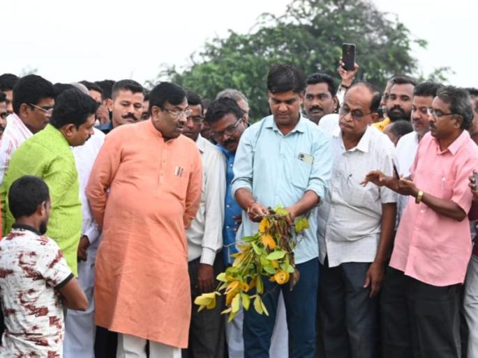 Announce special package for loss-affected farmers in Chandrapur; Mungantiwar's demand to the Chief Minister | चंद्रपूरमधील नुकसानग्रस्त शेतकऱ्यांसाठी विशेष पॅकेज जाहीर करा; मुनगंटीवारांची मुख्यमंत्र्यांकडे मागणी