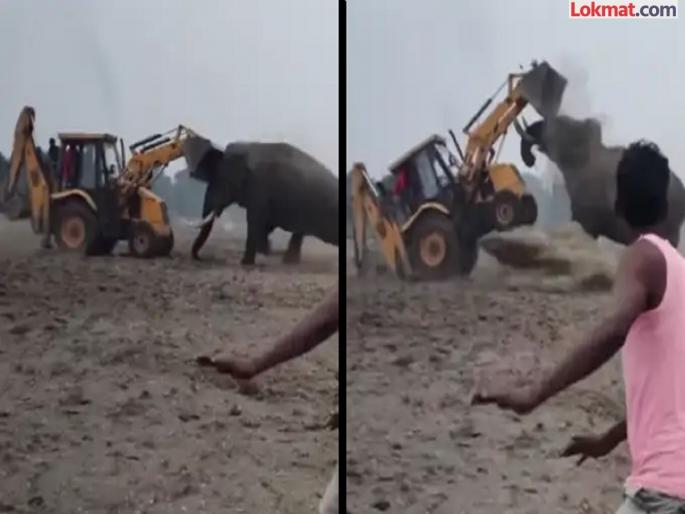JCB vs Elephant angry Elephant collided with JCB, Watch Video | अबब! संतापलेला गजराज थेट JCB ला भिडला, अशी टक्कर दिली की...पाहा Video JCB vs Elephant angry Elephant collided with JCB, Watch Video | अबब! संतापलेला गजराज थेट JCB ला भिडला, अशी टक्कर दिली की...पाहा Video