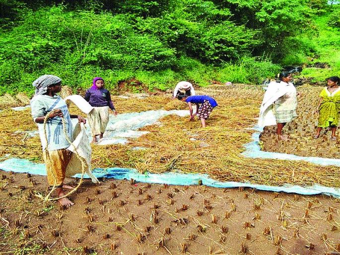 Agriculture in the Shihu area was carried away | शिहू भागातील शेती गेली वाहून Agriculture in the Shihu area was carried away | शिहू भागातील शेती गेली वाहून