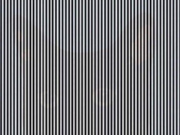 Can you find animal in this photo which is goes viral on social media | 'या' चित्रात लपला आहे एक प्राणी; शोधून शोधून थकाल! Can you find animal in this photo which is goes viral on social media | 'या' चित्रात लपला आहे एक प्राणी; शोधून शोधून थकाल!