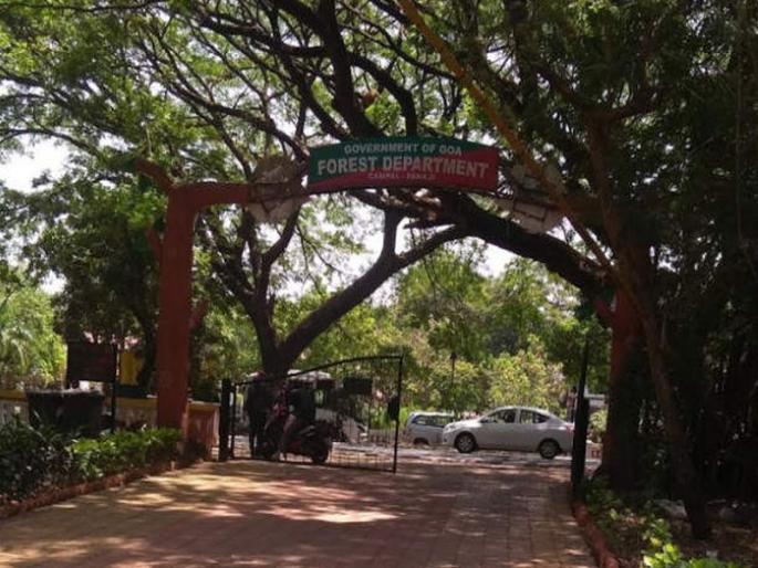 Will the Forest officer be blamed? | वनाधिकाऱ्यांवरच दोष येणार काय? Will the Forest officer be blamed? | वनाधिकाऱ्यांवरच दोष येणार काय?