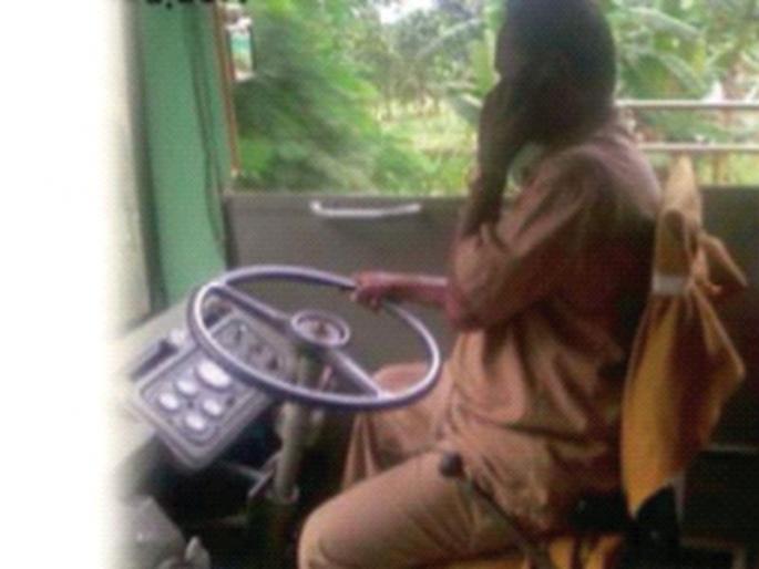 Driver talking on mobile; Send photo, action will be taken | चालक मोबाइलवर बोलतोय; फोटो पाठवा, कारवाई होणार; एसटी महामंडळाचे सुरक्षेसाठी पाऊल Driver talking on mobile; Send photo, action will be taken | चालक मोबाइलवर बोलतोय; फोटो पाठवा, कारवाई होणार; एसटी महामंडळाचे सुरक्षेसाठी पाऊल