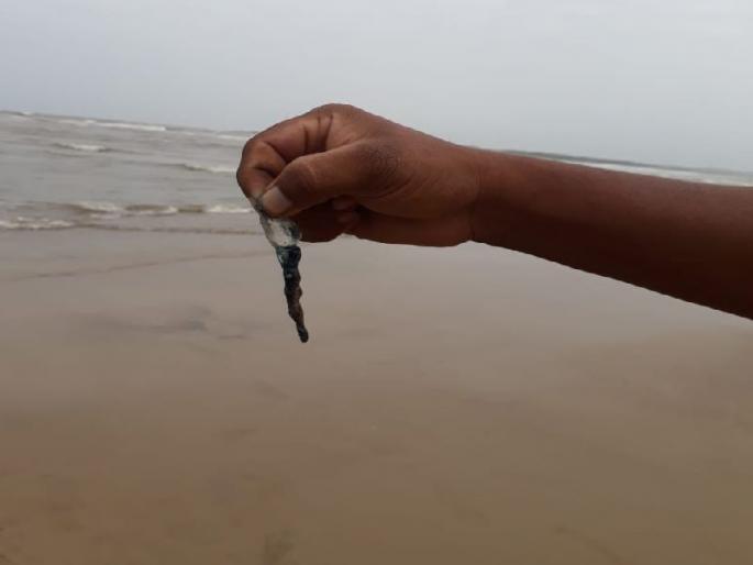 Jailfish panic in Aksa Beach | अकसा बीचवर जेलिफिशची दहशत सुरूच, सकाळ पासून 4 पर्यटकांना जेलिफिशने मारले डंख Jailfish panic in Aksa Beach | अकसा बीचवर जेलिफिशची दहशत सुरूच, सकाळ पासून 4 पर्यटकांना जेलिफिशने मारले डंख