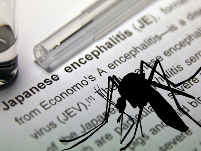 11 children in Pune vaccinated against 'Japanese encephalitis'; Protection from 'JE' | पुण्यात अकरा ११ मुलांना ‘जपानी मेंदूज्वराची’ लस; Japanese encephalitis पासून संरक्षण 11 children in Pune vaccinated against 'Japanese encephalitis'; Protection from 'JE' | पुण्यात अकरा ११ मुलांना ‘जपानी मेंदूज्वराची’ लस; Japanese encephalitis पासून संरक्षण