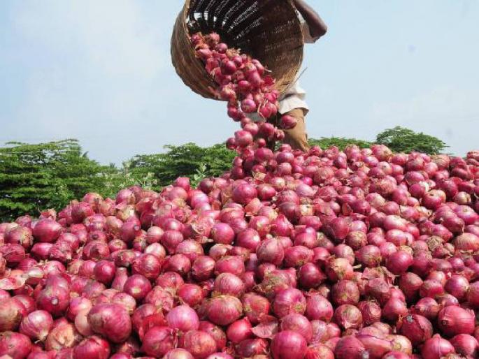 Give money or we will go on hunger strike, futile warning of onion producers to Nafed | नाफेडने थकवले शेतकऱ्यांचे पैसे, कांदा उत्पादक उपोषणाच्या पवित्र्यात