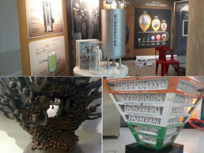 Come and see the history of 'Kaerena' which is creating chaos; Special Gallery at Raman Science Centre | हाहाकार उडविणाऱ्या ‘काेराेना’चा इतिहास आता प्रत्यक्ष येऊन बघा; रमन विज्ञान केंद्रात विशेष गॅलरी Come and see the history of 'Kaerena' which is creating chaos; Special Gallery at Raman Science Centre | हाहाकार उडविणाऱ्या ‘काेराेना’चा इतिहास आता प्रत्यक्ष येऊन बघा; रमन विज्ञान केंद्रात विशेष गॅलरी