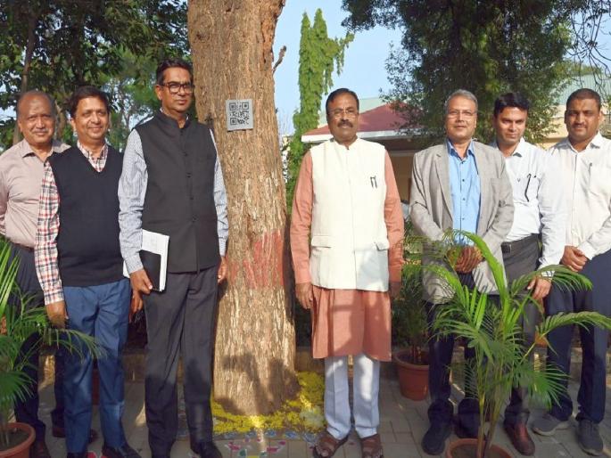 Now the tree itself will give information about itself in various languages; 'QR Code' launched by Forest Minister Sudhir Mungantiwar | आता झाडच देईल स्वत:बद्दलची विविध भाषांत माहिती; चंद्रपूरच्या वन प्रबोधिनीचा अभिनव उपक्रम Now the tree itself will give information about itself in various languages; 'QR Code' launched by Forest Minister Sudhir Mungantiwar | आता झाडच देईल स्वत:बद्दलची विविध भाषांत माहिती; चंद्रपूरच्या वन प्रबोधिनीचा अभिनव उपक्रम