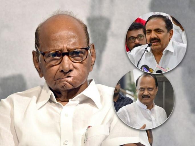 Sharad Pawar is a profound leader, still young at heart; Election Commission did injustice to us, Jayant Patal reacts | शरद पवार प्रगल्भ नेते, निवडणूक आयोगाने आमच्यावर अन्याय केला; जयंत पाटलांची प्रतिक्रिया Sharad Pawar is a profound leader, still young at heart; Election Commission did injustice to us, Jayant Patal reacts | शरद पवार प्रगल्भ नेते, निवडणूक आयोगाने आमच्यावर अन्याय केला; जयंत पाटलांची प्रतिक्रिया