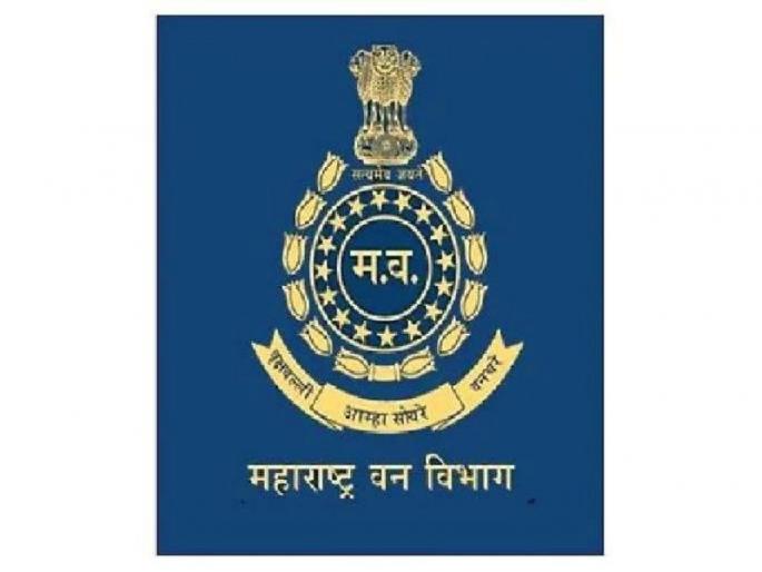 Suspension of the state government still transfer of RFOs! | राज्य शासनाची स्थगिती तरीही आरएफओंच्या बदल्या! Suspension of the state government still transfer of RFOs! | राज्य शासनाची स्थगिती तरीही आरएफओंच्या बदल्या!