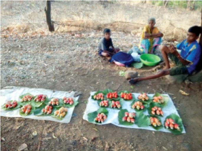 Disappointment among the tribal brothers due to the eclipse of the corona to nature's 'gift' | निसर्गाच्या ‘दाना’ला कोरोनाच्या ग्रहणामुळे आदिवासी बांधवांमध्ये निराशा