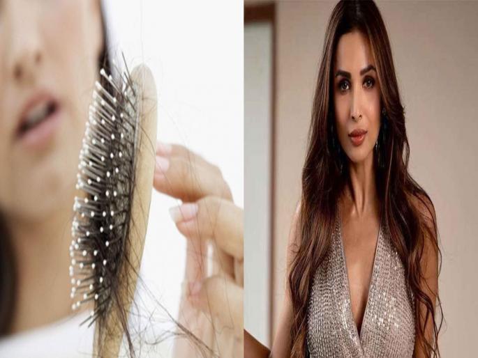 Beauty Tips By Malaika arora : bollywood actress fitness tips hair fall issue | कोरोनाकाळात केसांचं गळणं कसं रोखाल?; मलायकानं सांगितला सोपा घरगुती फंडा, पाहा व्हिडीओ Beauty Tips By Malaika arora : bollywood actress fitness tips hair fall issue | कोरोनाकाळात केसांचं गळणं कसं रोखाल?; मलायकानं सांगितला सोपा घरगुती फंडा, पाहा व्हिडीओ
