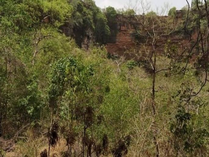 The found of a dead body of a young woman in a forest near Kasara | तरुणीच्या शरीरावर चाकूने वार, जंगलात फेकला मृतदेह; त्याच्याच शेजारी मोबाइल अन्... The found of a dead body of a young woman in a forest near Kasara | तरुणीच्या शरीरावर चाकूने वार, जंगलात फेकला मृतदेह; त्याच्याच शेजारी मोबाइल अन्...