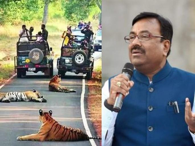 Now the judges have opened the doors to the state's tiger reserves and sanctuaries. | या... या... न्यायमूर्ती साहेब मला बघायला! वाघांचे घ्या मुक्त दर्शन, राज्याच्या वन्यजीव विभागाचा निर्णय Now the judges have opened the doors to the state's tiger reserves and sanctuaries. | या... या... न्यायमूर्ती साहेब मला बघायला! वाघांचे घ्या मुक्त दर्शन, राज्याच्या वन्यजीव विभागाचा निर्णय