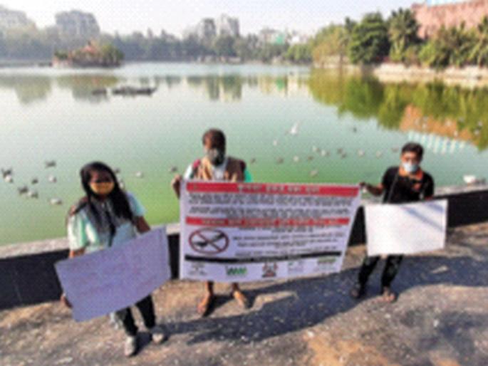 Seagulls should not be played with by giving them artificial food | सीगल्सला कृत्रिम खाद्यपदार्थ देऊन त्यांच्या जीवाशी खेळू नये Seagulls should not be played with by giving them artificial food | सीगल्सला कृत्रिम खाद्यपदार्थ देऊन त्यांच्या जीवाशी खेळू नये