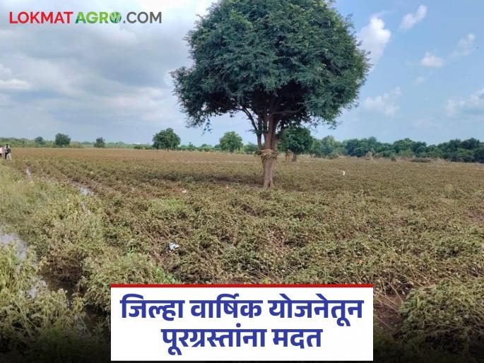 Latest news District administration ordered to take immediate measures in flood-hit areas | राज्य शासनाकडून जिल्हा प्रशासनाला तातडीचे आदेश, पूरग्रस्त भागातील... पहा शासन निर्णय 