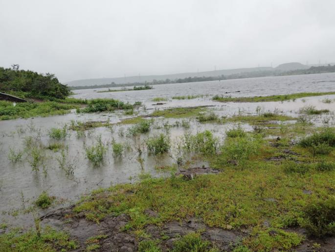 Heavy rain in Shirur Khed Ambegaon taluka in pune thetewadi dam is 100 percent full | Pune Rain: शिरूर, खेड, आंबेगाव तालुक्यात पावसाची दमदार हजेरी; थिटेवाडी बंधारा १०० टक्के भरला