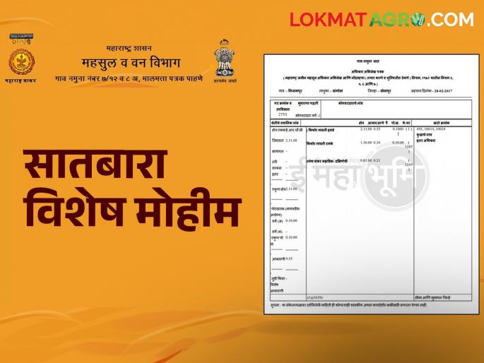 Jivant Satbara campaign in the state from today; How will farmers benefit? Read in detail | आजपासून राज्यात जिवंत सातबारा मोहीम; शेतकऱ्यांना कसा फायदा होणार? वाचा सविस्तर Jivant Satbara campaign in the state from today; How will farmers benefit? Read in detail | आजपासून राज्यात जिवंत सातबारा मोहीम; शेतकऱ्यांना कसा फायदा होणार? वाचा सविस्तर