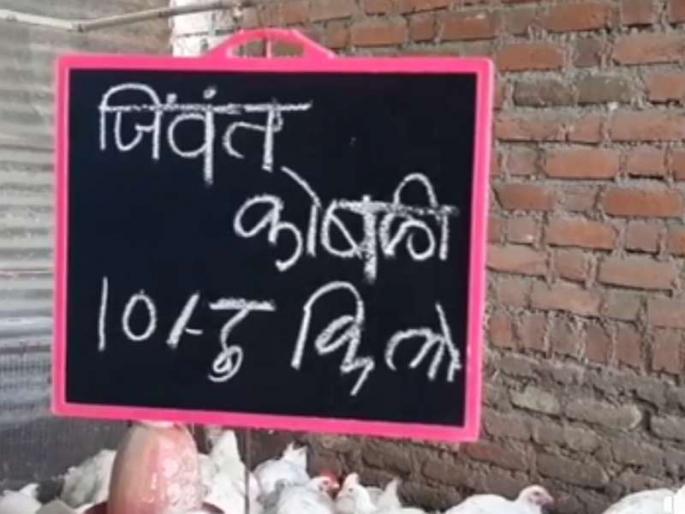 Corona virus : Corona's horror has raised the chicken at Rs 10 a kg, sellers' eyes in nashik and amravati MMG | Corona virus : कोरोनाच्या धास्तीने चिकन 10 ₹ किलो, विक्रेत्यांचे डोळे पाणावले Corona virus : Corona's horror has raised the chicken at Rs 10 a kg, sellers' eyes in nashik and amravati MMG | Corona virus : कोरोनाच्या धास्तीने चिकन 10 ₹ किलो, विक्रेत्यांचे डोळे पाणावले