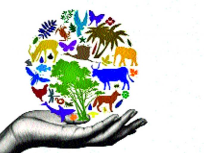 Online collection of biodiversity online in the city | शहरातील जैवविविधतेचे ऑनलाइन संकलन सुरू