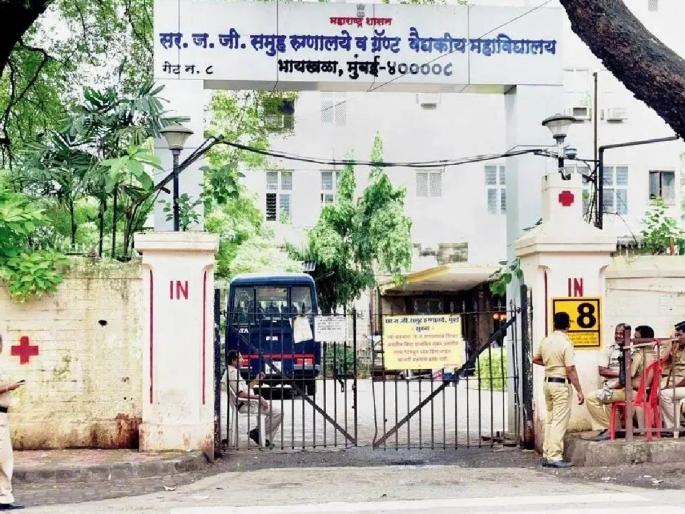 Various constructions including hostels have increased the number of mosquitoes | ‘जेजे’मध्ये १४ निवासी डॉक्टर, विद्यार्थी मलेरिया, डेंग्यूने आजारी; वाढले डासांचे प्रमाण Various constructions including hostels have increased the number of mosquitoes | ‘जेजे’मध्ये १४ निवासी डॉक्टर, विद्यार्थी मलेरिया, डेंग्यूने आजारी; वाढले डासांचे प्रमाण