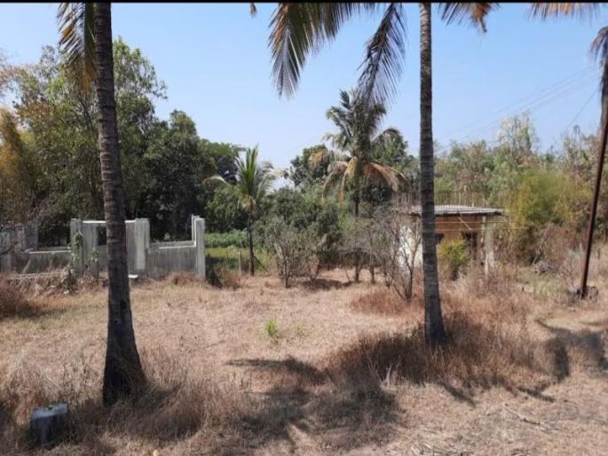 Korlai alleged bungalow crime case; All the three village servants in the crime have been granted pre-arrest bail | कोर्लई कथित बंगले गुन्हा प्रकरण; गुन्ह्यातील तीनही ग्रामसेवकांना अटक पूर्व जामीन मंजूर Korlai alleged bungalow crime case; All the three village servants in the crime have been granted pre-arrest bail | कोर्लई कथित बंगले गुन्हा प्रकरण; गुन्ह्यातील तीनही ग्रामसेवकांना अटक पूर्व जामीन मंजूर