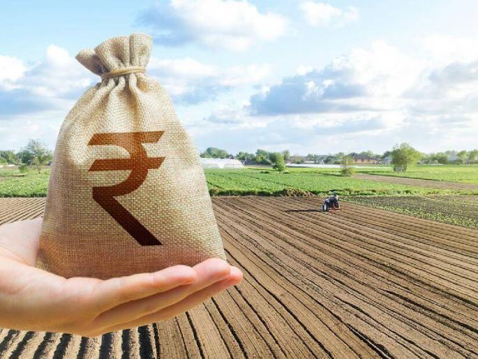 14 Offenses against agricultural assistants | १४ कृषी सहायकांवर गुन्हा, अनुदानाच्या याद्या अपलोड करण्यास टाळाटाळ भोवली 14 Offenses against agricultural assistants | १४ कृषी सहायकांवर गुन्हा, अनुदानाच्या याद्या अपलोड करण्यास टाळाटाळ भोवली