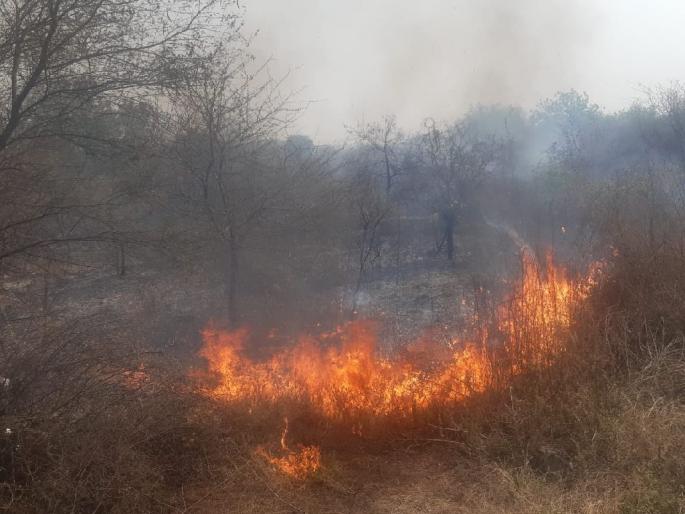 Fierce fires in sensitive areas of industrial estates in wardha | औद्योगिक वसाहतीतील संवेदनशील भागात भीषण आग; ४ तासांनंतर आगीवर नियंत्रण Fierce fires in sensitive areas of industrial estates in wardha | औद्योगिक वसाहतीतील संवेदनशील भागात भीषण आग; ४ तासांनंतर आगीवर नियंत्रण