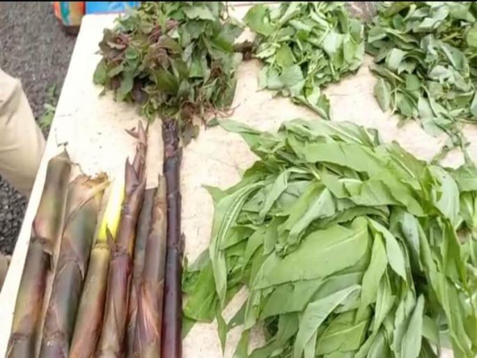 State Level Ranbhajya Vegetable Festival in Thane; Along with Eknath Shinde, Agriculture Minister Dada Bhuse will also be present | ठाण्यात राज्यस्तरीय रानभाज्या महोत्सव; एकनाथ शिंदे यांच्यासह कृषिमंत्री दादा भुसेही राहणार उपस्थिती State Level Ranbhajya Vegetable Festival in Thane; Along with Eknath Shinde, Agriculture Minister Dada Bhuse will also be present | ठाण्यात राज्यस्तरीय रानभाज्या महोत्सव; एकनाथ शिंदे यांच्यासह कृषिमंत्री दादा भुसेही राहणार उपस्थिती