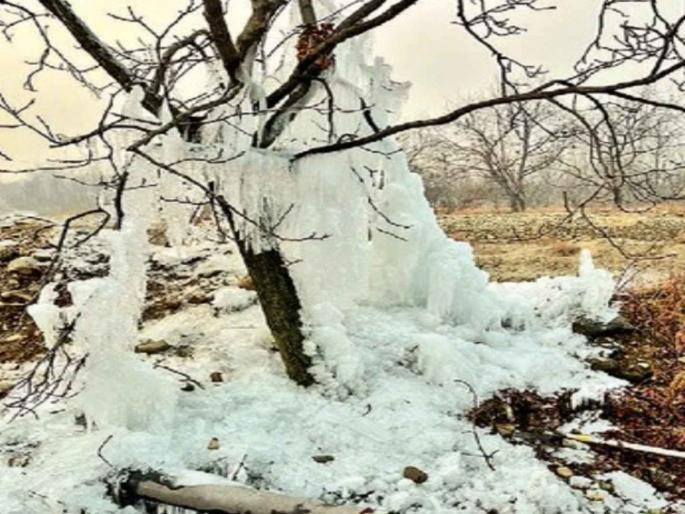 Severe cold wreaks havoc in many states of North India | पाणी गोठले, उत्तर भारत गारठला; अनेक राज्यांत कडाक्याच्या थंडीचा कहर