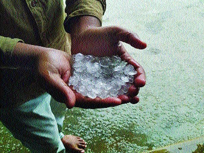 Hailstorm; Precipitation is also present | खान्देशात गारपीट; अवकाळी पावसाचीही हजेरी
