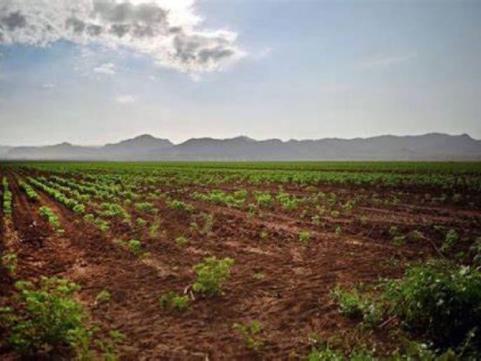 Heavy rainfall in Marathwada except Nanded and Hingoli | मराठवाड्यात नांदेड व हिंगोली सोडता पर्जन्यमान बिकट Heavy rainfall in Marathwada except Nanded and Hingoli | मराठवाड्यात नांदेड व हिंगोली सोडता पर्जन्यमान बिकट