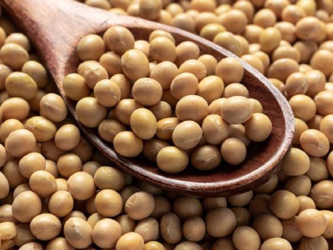 Soybean Bajarbhav: Arrival of 8550 quintal soybeans in the afternoon session, where are the prices? | Soybean Bajarbhav: दुपारच्या सत्रात ८५५० क्विंटल सोयाबीनची आवक, कुठे कसा मिळतोय भाव? Soybean Bajarbhav: Arrival of 8550 quintal soybeans in the afternoon session, where are the prices? | Soybean Bajarbhav: दुपारच्या सत्रात ८५५० क्विंटल सोयाबीनची आवक, कुठे कसा मिळतोय भाव?