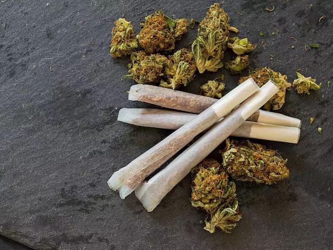 Marijuana smuggling is being done by young women, Ganja is brought by railway trains | तरुणींकडून करून घेतली जात आहे गांजाची तस्करी; रेल्वे गाड्यांतून आणला जातो गांजा Marijuana smuggling is being done by young women, Ganja is brought by railway trains | तरुणींकडून करून घेतली जात आहे गांजाची तस्करी; रेल्वे गाड्यांतून आणला जातो गांजा