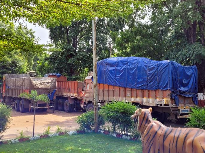 Two truckloads of flavored tobacco seized from Karnataka to Nagpur, four arrested | कर्नाटकातून नागपूरकडे जाणारा दोन ट्रक सुगंधित तंबाखू पकडला, चौघांना अटक Two truckloads of flavored tobacco seized from Karnataka to Nagpur, four arrested | कर्नाटकातून नागपूरकडे जाणारा दोन ट्रक सुगंधित तंबाखू पकडला, चौघांना अटक