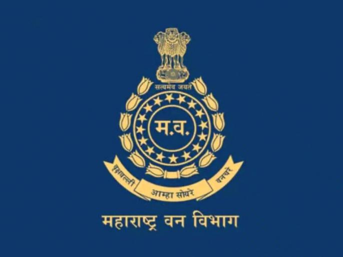 76 Assistant Conservator of Forests promoted as DFO in the state | राज्यात ७६ सहायक वनसंरक्षकांना डीएफओ म्हणून पदोन्नती 76 Assistant Conservator of Forests promoted as DFO in the state | राज्यात ७६ सहायक वनसंरक्षकांना डीएफओ म्हणून पदोन्नती