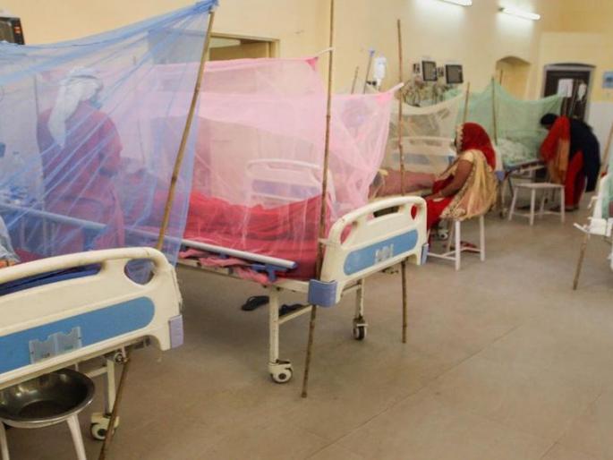 Mosquitoes are harassing in Mumbai, there is a lot of trouble...; 721 Malaria patients, 685 Dengue patients | मुंबईत छळताहेत डास, झालाय सुळसुळाट...; मलेरियाचे ७२१ रुग्ण, ६८५ रुग्णांना डेंग्यू Mosquitoes are harassing in Mumbai, there is a lot of trouble...; 721 Malaria patients, 685 Dengue patients | मुंबईत छळताहेत डास, झालाय सुळसुळाट...; मलेरियाचे ७२१ रुग्ण, ६८५ रुग्णांना डेंग्यू