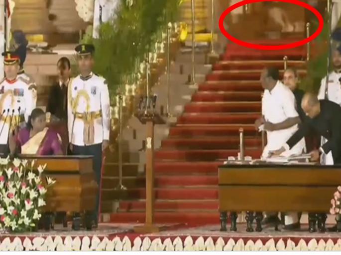 Which animal is seen behind PM Modi's ministers while taking oath Cat, Dog or Leopard Watch the video and spark a discussion | PM मोदींचे मंत्री शपथ घेत असताना मागे दिसलेला प्राणी कोणता?; मांजर, कुत्रा की बिबट्या?; व्हिडीओ पाहून चर्चेला उधाण Which animal is seen behind PM Modi's ministers while taking oath Cat, Dog or Leopard Watch the video and spark a discussion | PM मोदींचे मंत्री शपथ घेत असताना मागे दिसलेला प्राणी कोणता?; मांजर, कुत्रा की बिबट्या?; व्हिडीओ पाहून चर्चेला उधाण