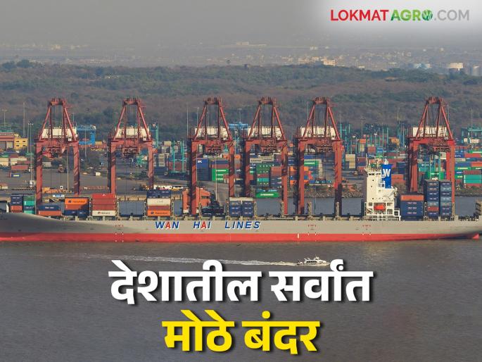 This port in the state has become the largest port in the country, transporting 8 million containers per year | वर्षभरात ८० लाख कंटेनरची वाहतूक करणारे राज्यातील हे बंदर ठरले देशातील सर्वांत मोठे बंदर This port in the state has become the largest port in the country, transporting 8 million containers per year | वर्षभरात ८० लाख कंटेनरची वाहतूक करणारे राज्यातील हे बंदर ठरले देशातील सर्वांत मोठे बंदर