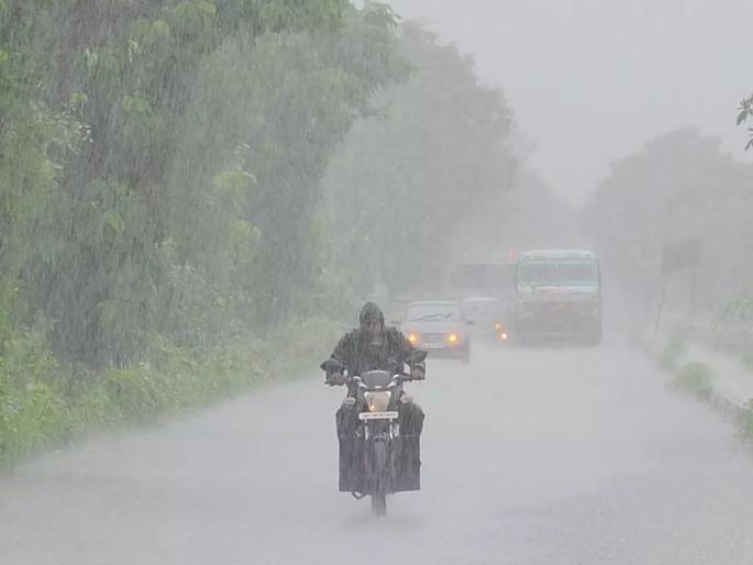 The rain came running, anxiety went away; Farmers was happy, life was given to the crops | पाऊस आला धावून, चिंता गेली वाहून; राज्यभर संततधार, बळीराजा सुखावला, पिकांना जीवदान The rain came running, anxiety went away; Farmers was happy, life was given to the crops | पाऊस आला धावून, चिंता गेली वाहून; राज्यभर संततधार, बळीराजा सुखावला, पिकांना जीवदान