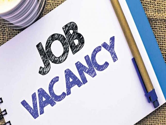 'Placement Drive' on second Wednesday of every month in Pune | Pune | पुण्यात प्रत्येक महिन्याच्या दुसऱ्या बुधवारी ‘प्लेसमेंट ड्राईव्ह’ 'Placement Drive' on second Wednesday of every month in Pune | Pune | पुण्यात प्रत्येक महिन्याच्या दुसऱ्या बुधवारी ‘प्लेसमेंट ड्राईव्ह’