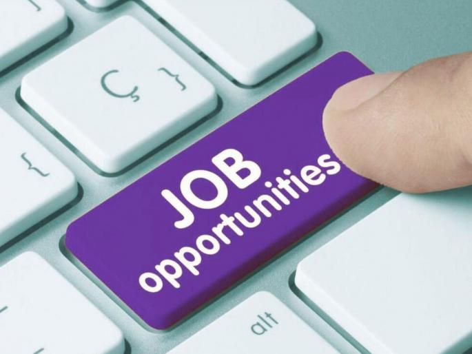 Have you graduated? Increased job opportunities; Unemployment rate lower than last year | ग्रॅज्युएट झालात का? जाॅबची शक्यता वाढली; बेरोजगारीचा दर गेल्यावर्षीपेक्षा कमी Have you graduated? Increased job opportunities; Unemployment rate lower than last year | ग्रॅज्युएट झालात का? जाॅबची शक्यता वाढली; बेरोजगारीचा दर गेल्यावर्षीपेक्षा कमी