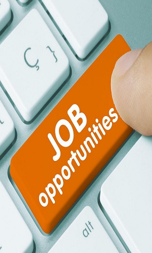 6 thousand applications for 600 posts of Police Patil in Nashik | नाशिकमध्ये पोलीस पाटील पदाच्या ६०० जागांसाठी ६ हजार अर्ज