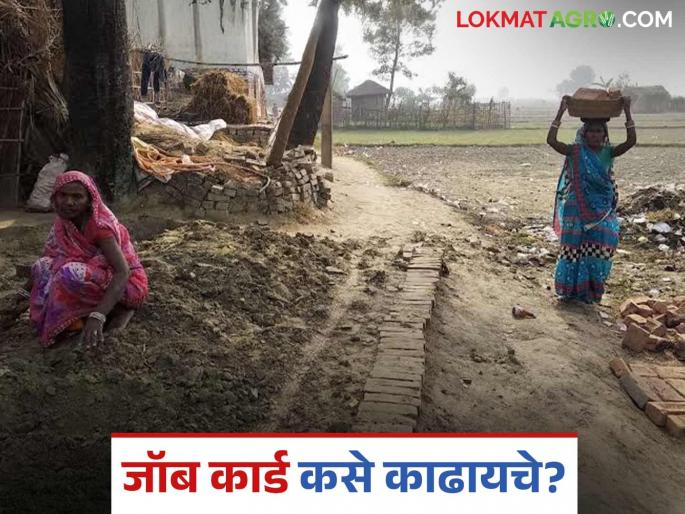 Latest news Mnrega How to get job card in two minutes from home Read in detail | Job Card : घरबसल्या दोन मिनिटात जॉब कार्ड कसे काढायचे? वाचा सविस्तर  Latest news Mnrega How to get job card in two minutes from home Read in detail | Job Card : घरबसल्या दोन मिनिटात जॉब कार्ड कसे काढायचे? वाचा सविस्तर