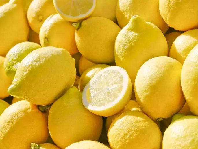 lemons price drops so much, now available at 50-60 Rs. farmers panicked | लिंबाचे दिवस फिरले! दर अचानक एवढे गडगडले की, शेतकरी गडबडले lemons price drops so much, now available at 50-60 Rs. farmers panicked | लिंबाचे दिवस फिरले! दर अचानक एवढे गडगडले की, शेतकरी गडबडले