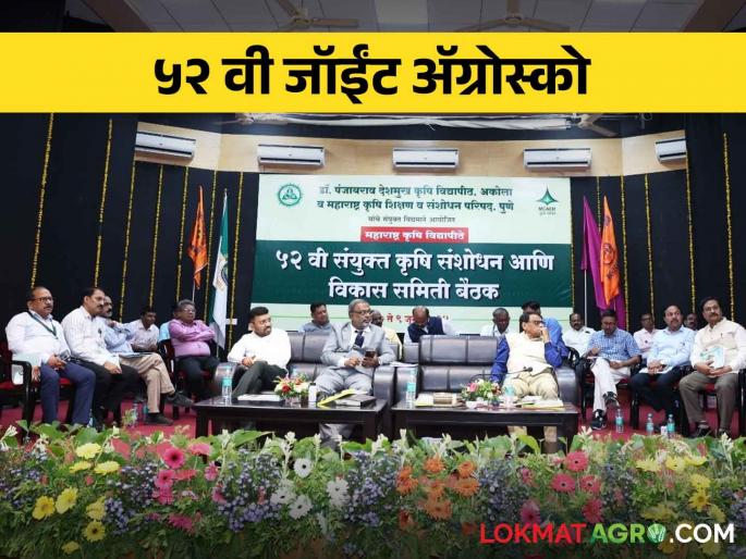 Joint Agresco 2024; 20 crop varieties, 8 machines and implements and 250 useful crop production technologies have been approved by all the four agricultural universities | Joint Agresco 2024 चारही कृषी विद्यापीठे मिळून वीस पिक वाण, ८ यंत्रे व अवजारे तथा २५० उपयुक्त पीक उत्पादन तंत्रज्ञांना मंजुरी Joint Agresco 2024; 20 crop varieties, 8 machines and implements and 250 useful crop production technologies have been approved by all the four agricultural universities | Joint Agresco 2024 चारही कृषी विद्यापीठे मिळून वीस पिक वाण, ८ यंत्रे व अवजारे तथा २५० उपयुक्त पीक उत्पादन तंत्रज्ञांना मंजुरी