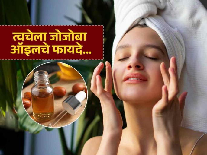 Why is jojoba oil a boon for the skin know its three big benefits | त्वचेसाठी खूप जास्त फायदेशीर मानलं जातं जोजोबा ऑइल, वाचा ३ मोठे फायदे!