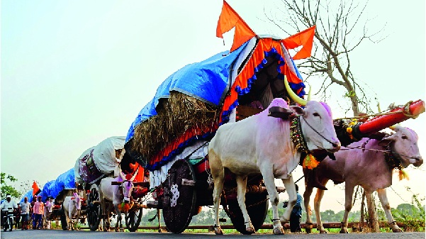 Kolhapur: Wadi Ratnagiri Fullli for Jyotiba Yatra, main day of Yatra on Saturday; Start of Manna Saasan Katha | कोल्हापूर : जोतिबा यात्रेसाठी वाडी रत्नागिरी फुलली, शनिवारी यात्रेचा मुख्य दिवस Kolhapur: Wadi Ratnagiri Fullli for Jyotiba Yatra, main day of Yatra on Saturday; Start of Manna Saasan Katha | कोल्हापूर : जोतिबा यात्रेसाठी वाडी रत्नागिरी फुलली, शनिवारी यात्रेचा मुख्य दिवस