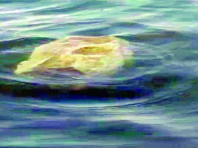 They are not floating stones, they are fossils of millions of years; Expert opinion | तरंगणारे दगड नव्हेत, ते तर लाखो वर्षांचे जीवाष्म; तज्ज्ञांचे मत They are not floating stones, they are fossils of millions of years; Expert opinion | तरंगणारे दगड नव्हेत, ते तर लाखो वर्षांचे जीवाष्म; तज्ज्ञांचे मत