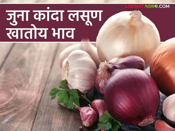 Onion Garlic Market : Demand for old onion and garlic is more; Read in detail what prices are available in the retail market | Onion, Garlic Market : जुना कांदा व लसूणाला मागणी अधिक ; किरकोळ बाजारात काय मिळतोय भाव वाचा सविस्तर Onion Garlic Market : Demand for old onion and garlic is more; Read in detail what prices are available in the retail market | Onion, Garlic Market : जुना कांदा व लसूणाला मागणी अधिक ; किरकोळ बाजारात काय मिळतोय भाव वाचा सविस्तर